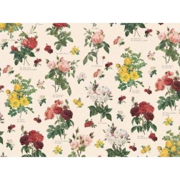 Tassotti Old Roses.70x100. Papel de Encuadernación | L'aura Bella