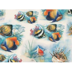 Tassotti Pesci Tropicali 70x100 Papel de Encuadernación | L'aura Bella