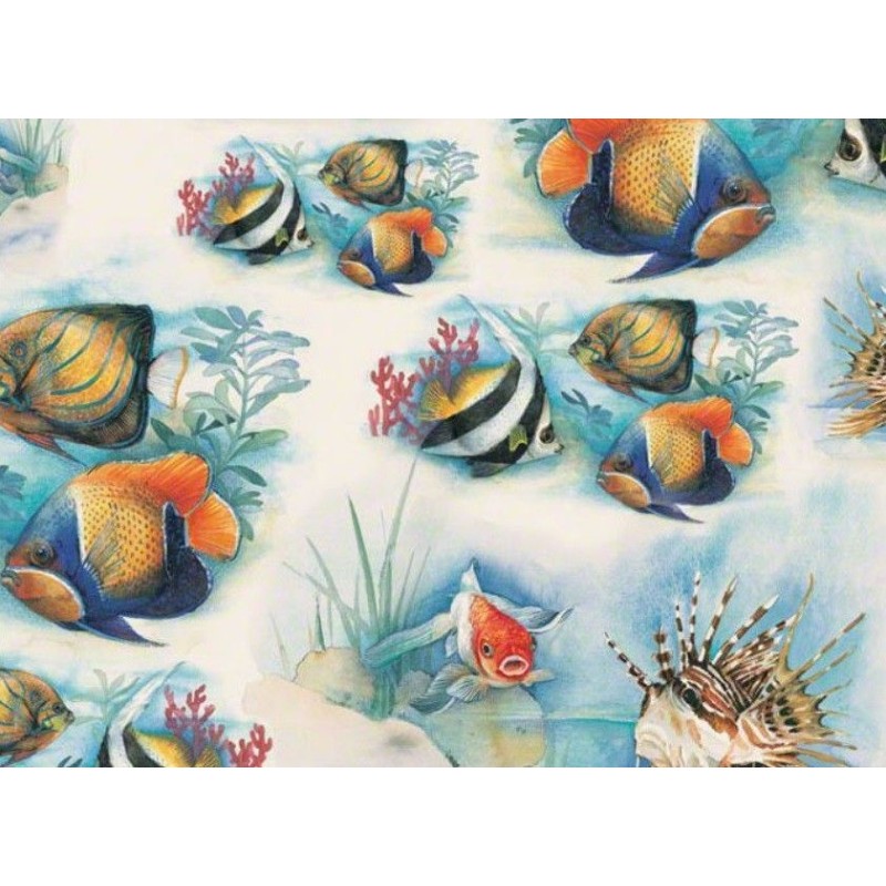 Tassotti Pesci Tropicali 70x100 Papel de Encuadernación | L'aura Bella