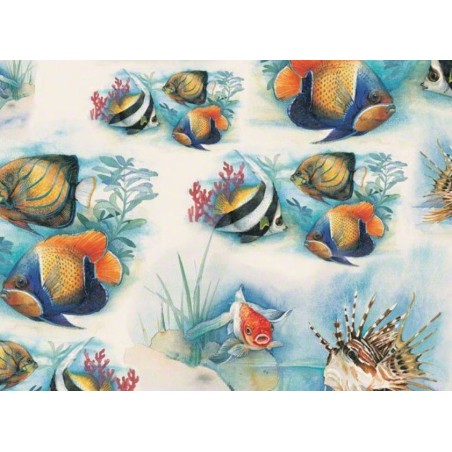 Tassotti Pesci Tropicali 70x100 Papel de Encuadernación | L'aura Bella