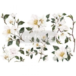 White Magnolia REDESIGN DECOR TRANSFERS® 656041 | L'aura Bella