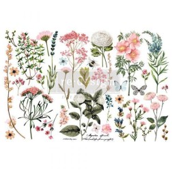 Botanical Paradise REDESIGN DECOR TRANSFERS® 653378 | L'aura Bella