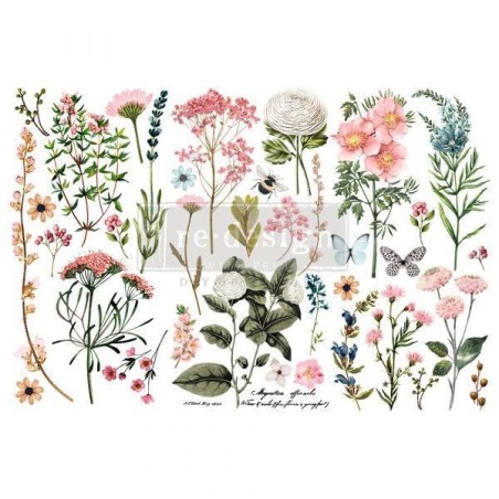 Botanical Paradise REDESIGN DECOR TRANSFERS® 653378 | L'aura Bella