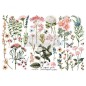 Botanical Paradise. Transfer, calcomania REDESIGN DECOR TRANSFERS®