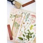 Botanical Paradise. Transfer, calcomania REDESIGN DECOR TRANSFERS®