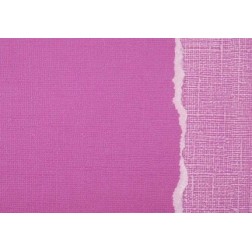 Papel scrapbooking Royal Orchid Core'dinations GX-O040 | L'aura Bella