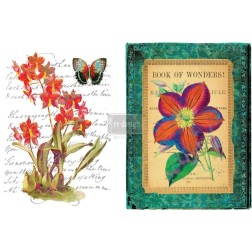 Wondrous Flora. REDESIGN DECOR TRANSFERS® 640583 | L'aura Bella