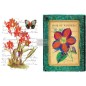 Wondrous Flora. Transfer, calcomania REDESIGN DECOR TRANSFERS®