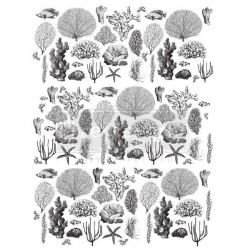 Coastal Sea Life. REDESIGN DECOR TRANSFERS® 645977 | L'aura Bella