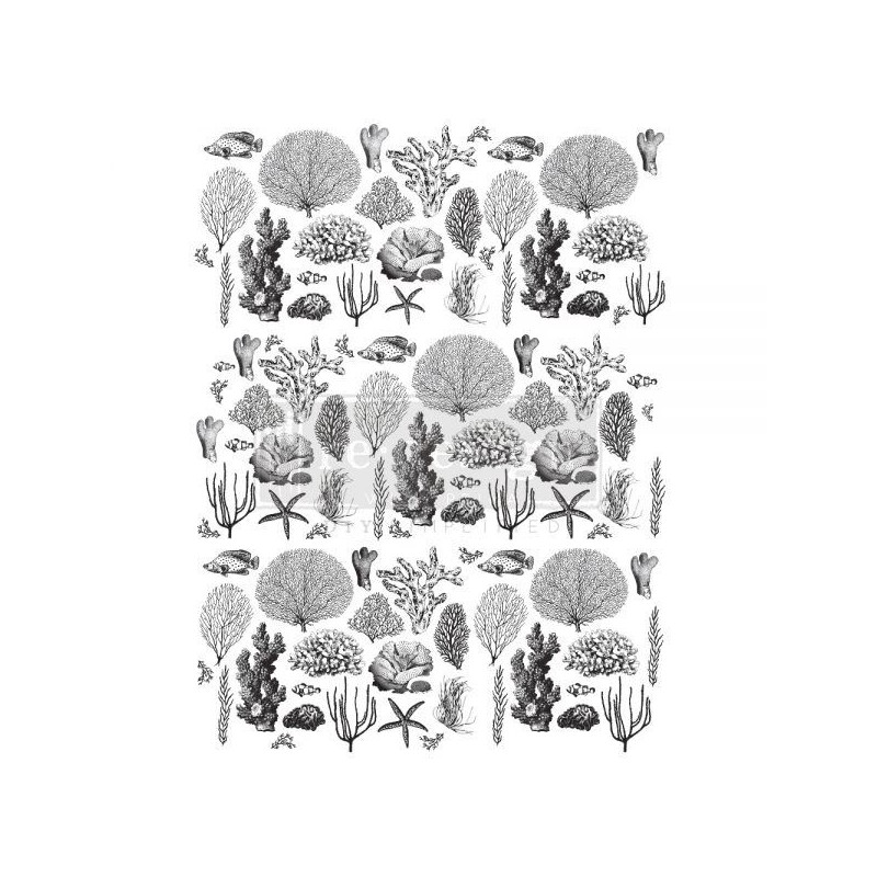 Coastal Sea Life. REDESIGN DECOR TRANSFERS® 645977 | L'aura Bella