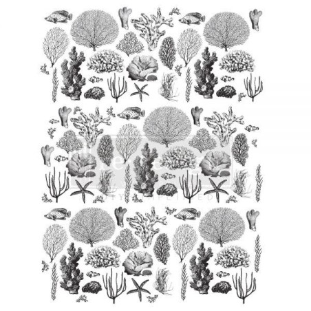 Coastal Sea Life. REDESIGN DECOR TRANSFERS® 645977 | L'aura Bella