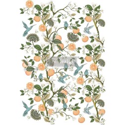 Orange Grove. REDESIGN DECOR TRANSFERS® 656515 | L'aura Bella