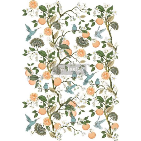 Orange Grove. REDESIGN DECOR TRANSFERS® 656515 | L'aura Bella